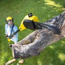 Best Commercial Tree Services  in New Fairview, TX